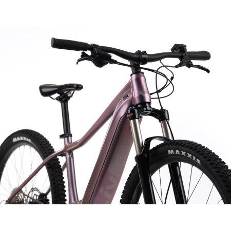 rower elektryczny gorski liv vall e 2 giant mtb 29 profil echeveria rowex